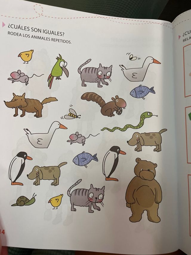 Cuatro y medio - Cuaderno de problemas