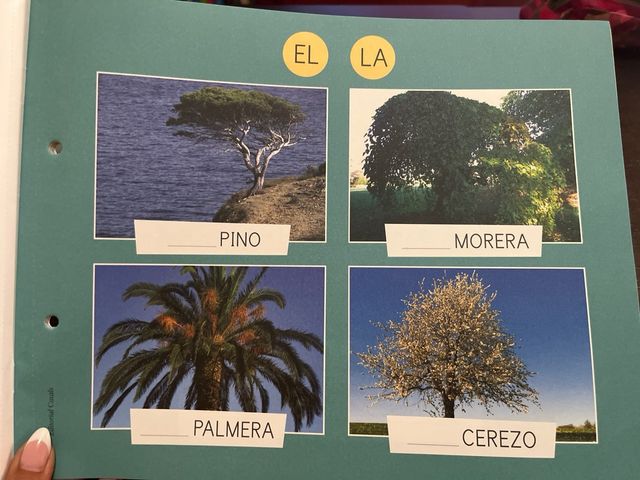 Leo y escribo 3, 4 años. Torbellinos
