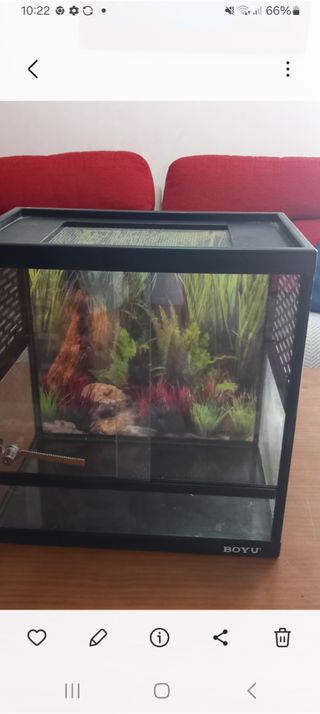 Terrario de cristal BOYU