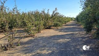 Terreno en venta en Selva del Camp, La