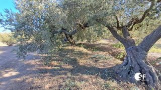 Terreno en venta en Selva del Camp, La