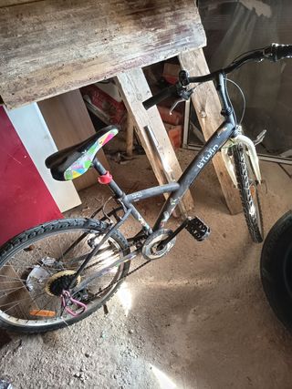 Bicicleta de niña 