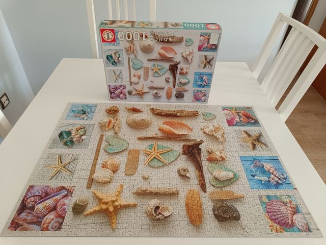 Puzzle Educa 1000 piezas - Conchas