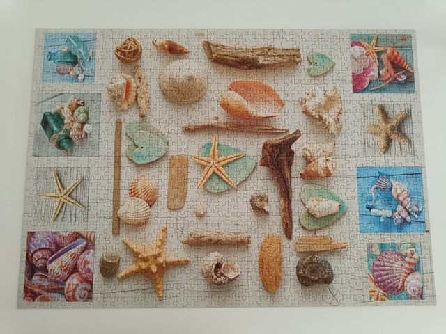 Puzzle Educa 1000 piezas - Conchas