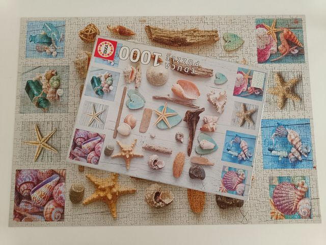 Puzzle Educa 1000 piezas - Conchas