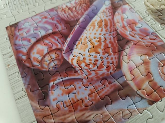 Puzzle Educa 1000 piezas - Conchas