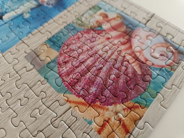 Puzzle Educa 1000 piezas - Conchas