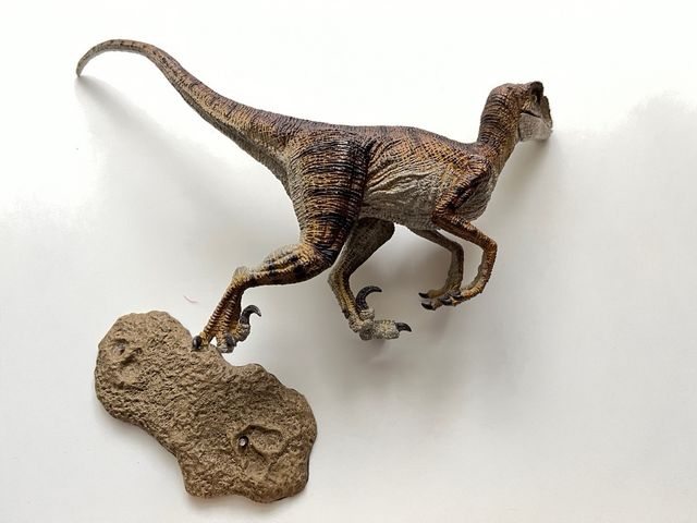 Rebor Velociraptor 2016