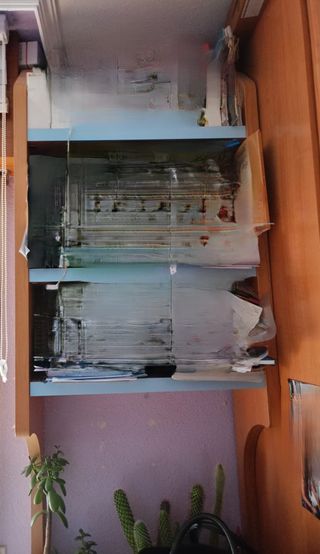 DORMITORIO JUVENIL URGE-REBAJADO