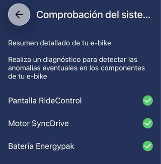 BICICLETA ELECTRICA GIANT REING E+2 PRO 2020