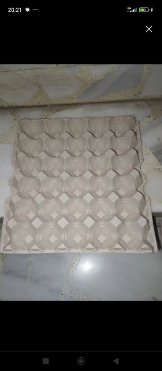 Huevera cartón 30 huevos