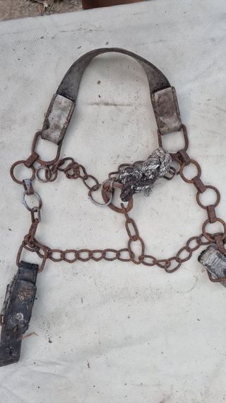 Antico Giogo da Traino 