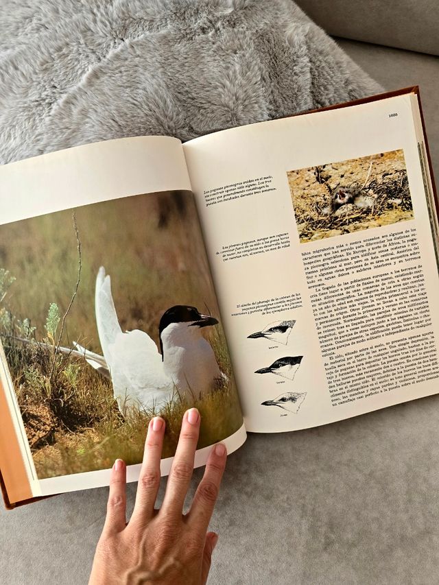 Enciclopedia Salvat de la Fauna Ibérica y Europea