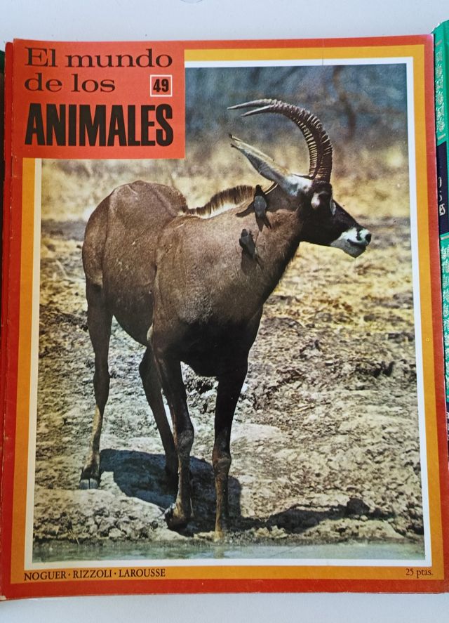 Preciosa enciclopedia "El Mundo de los animales"