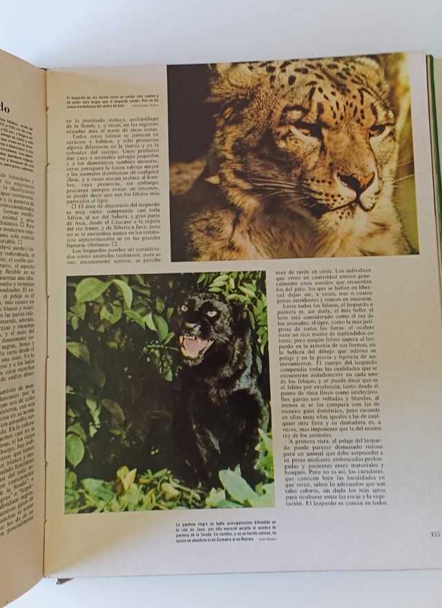 Preciosa enciclopedia "El Mundo de los animales"
