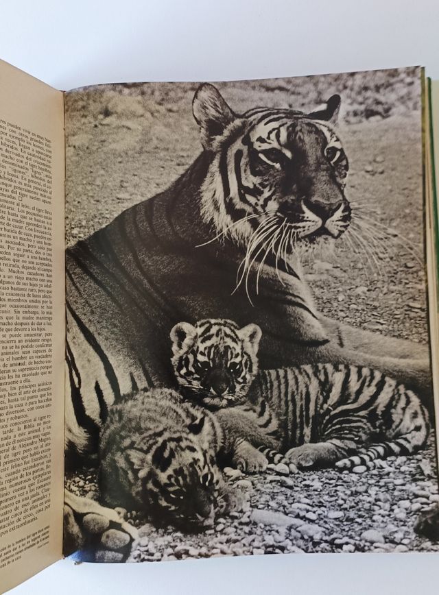 Preciosa enciclopedia "El Mundo de los animales"
