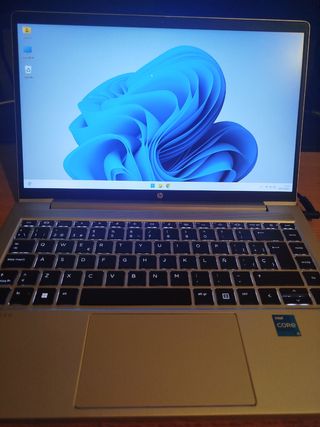 Portátil HP Probook G10 - Plata