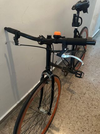 Bicicleta Fexie urbana