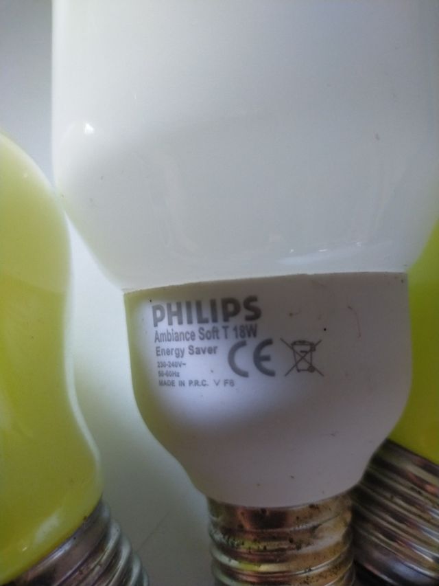 5 Lampadine Philip antibianca/buglezzz