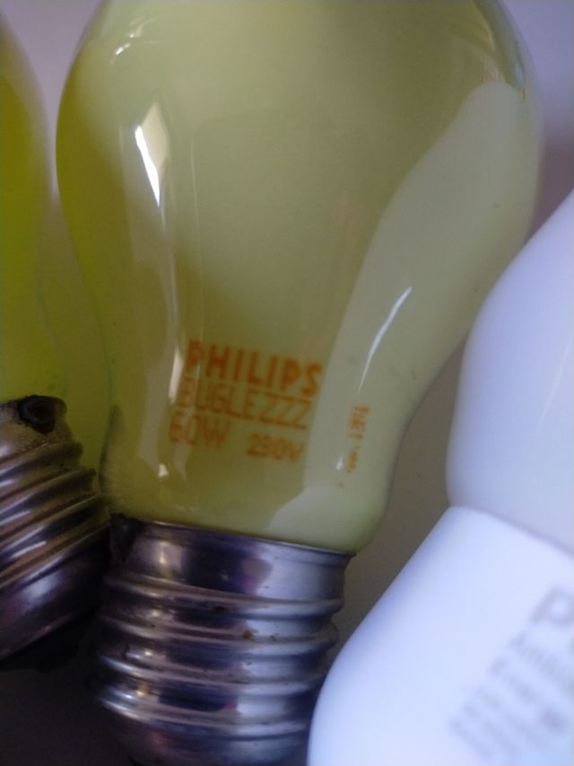 5 Lampadine Philip antibianca/buglezzz