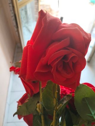 Rose rosse finte - 6 pezzi
