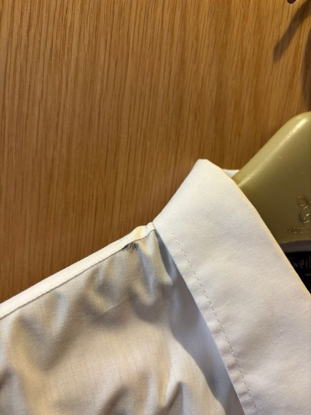 Camicia Rottweiler bianca