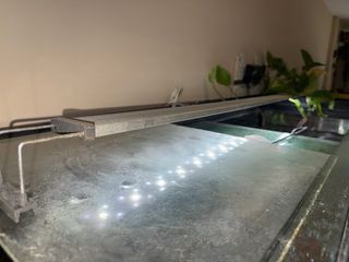 Acuario 550L -pecera grande