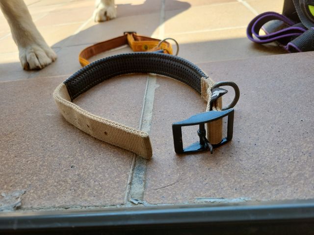 Collar para perro