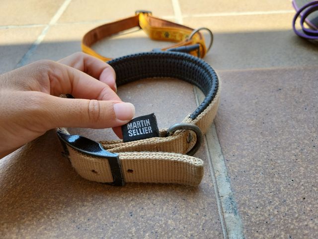Collar para perro