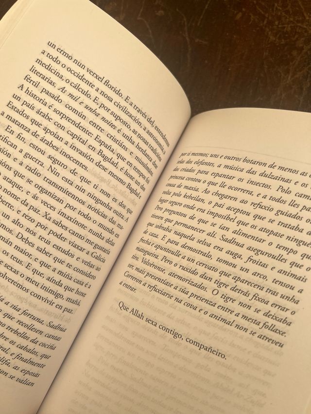 Irmán do vento (Infantil E Xuvenil) (Galician E...