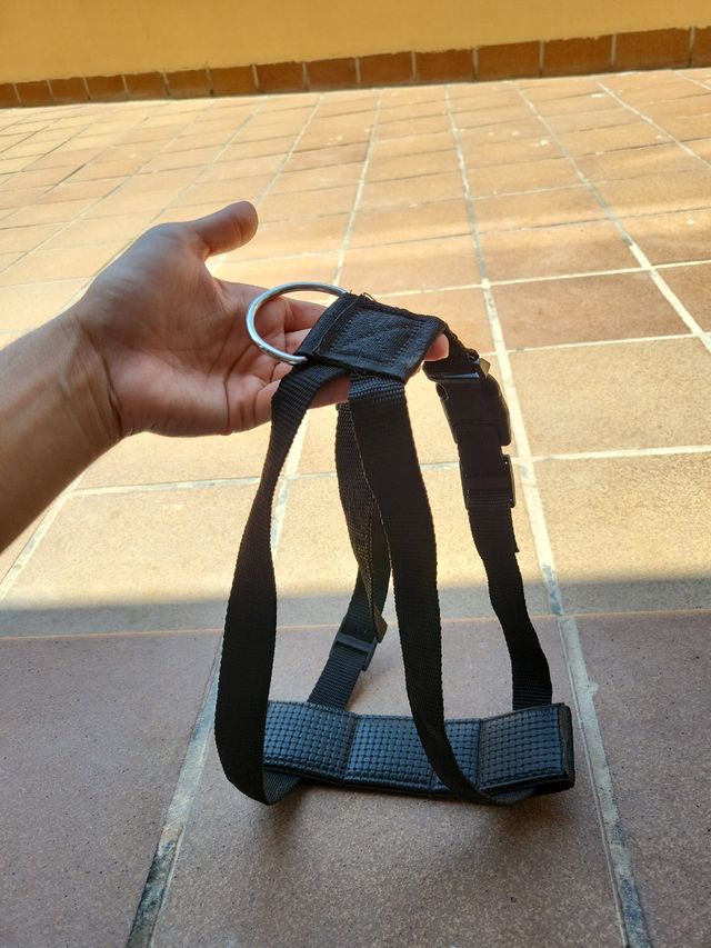 Arnés perro coche - Negro