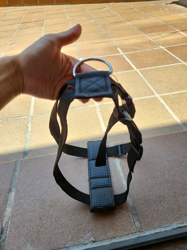 Arnés perro coche - Negro