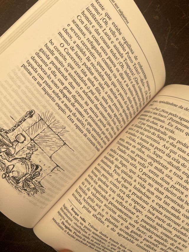 O Vento Nos Salgueiros (Galician Edition)