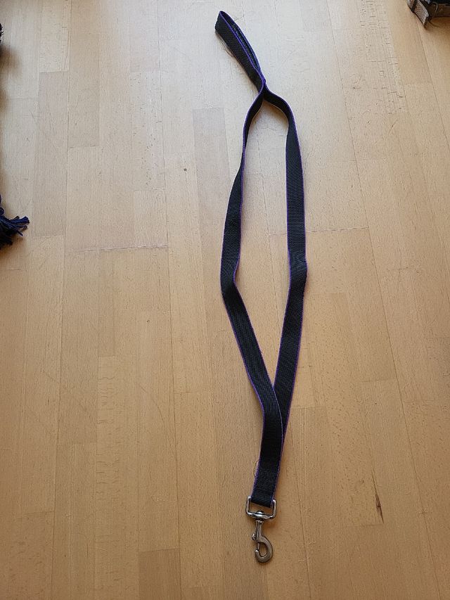 Correa perro negra y morada