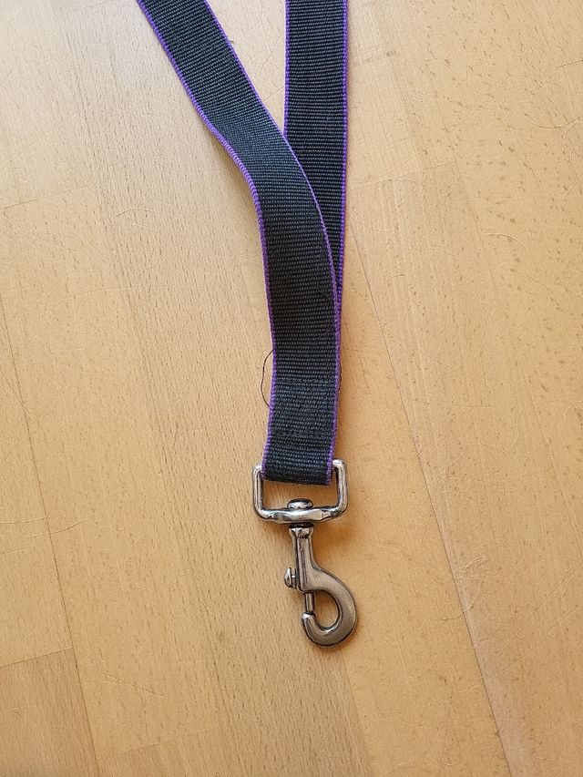 Correa perro negra y morada