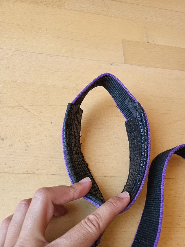 Correa perro negra y morada