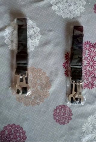 2 Correas Seguridad Mascotas