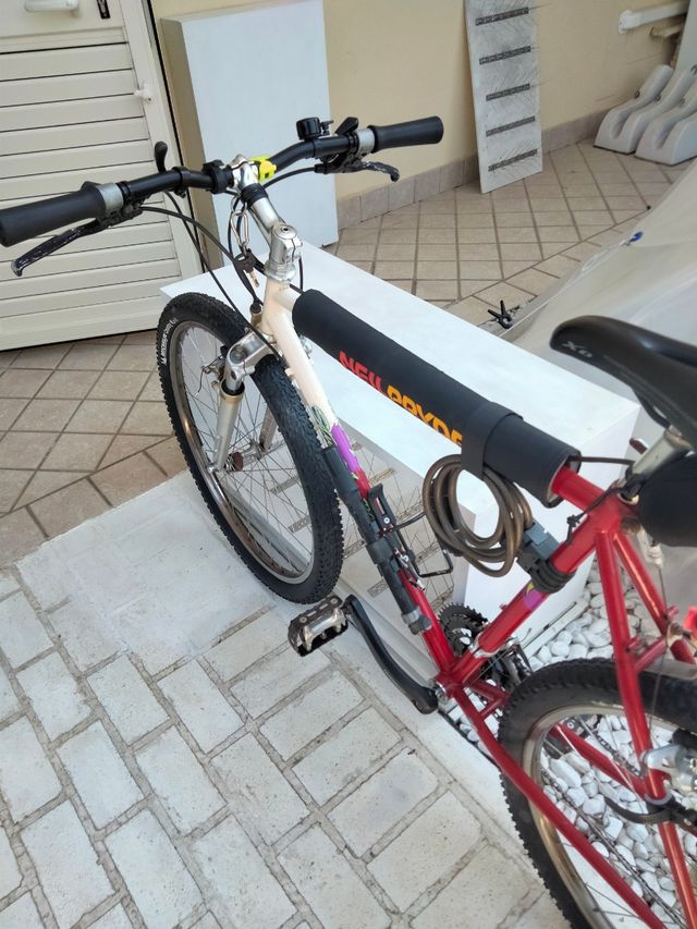 Bicicleta Specialized Stumpjumper taglia L