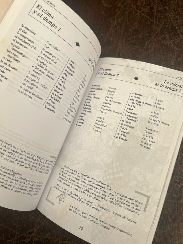 M.P.DIRE ESPAGNOL VOC. (Ancienne Edition)