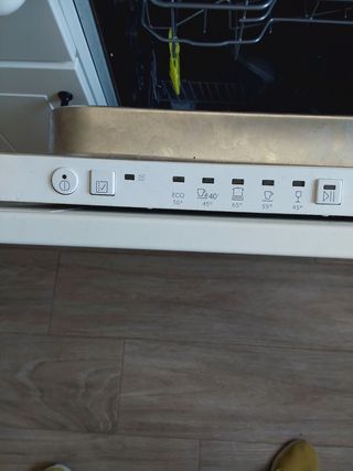 Lavavajillas Ikea integrable