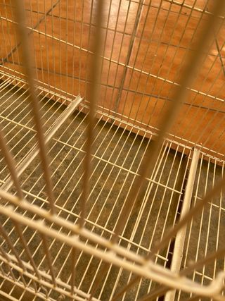 Jaula agapornis 1 metro horizontal