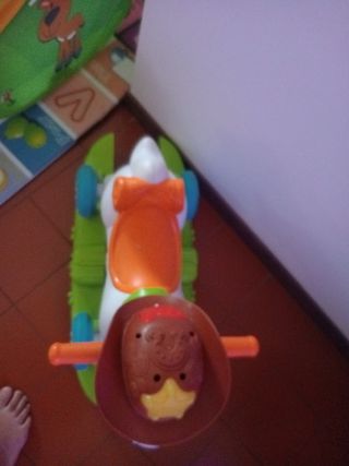 Cavallino Rodeo Chicco