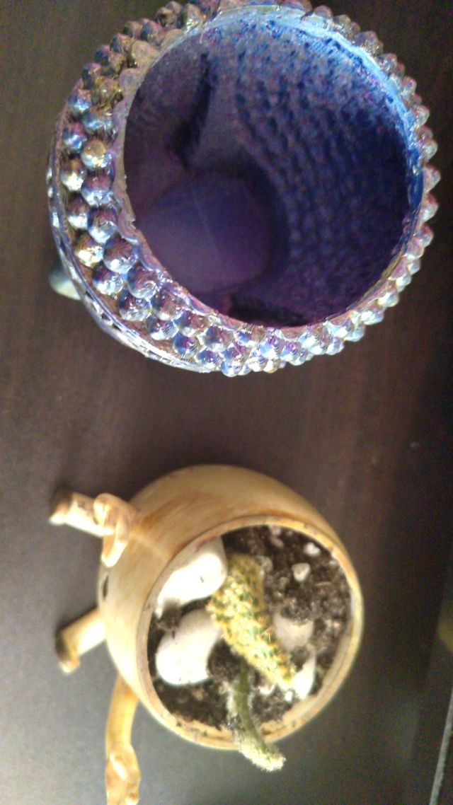 3 Macetas: Buda & Emoji. Mate