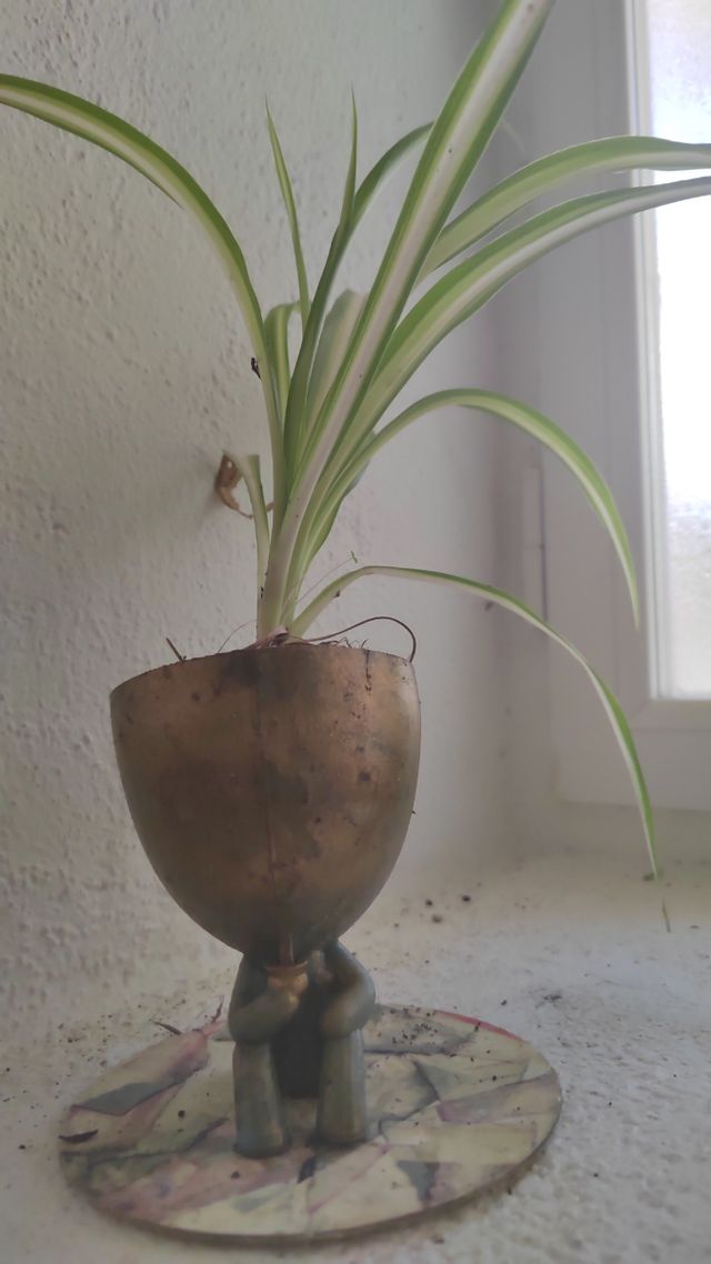 3 Macetas: Buda & Emoji. Mate