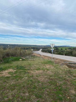Terreno Aljucén - 41000m2