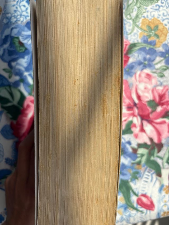 Los pilares de la Tierra- Ken Follet