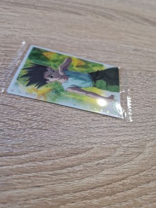 Cartas Hunter X Hunter - Hisoka y Gon