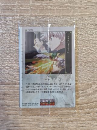 Cartas Hunter X Hunter - Hisoka y Gon