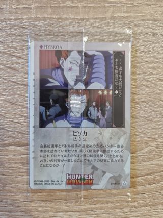 Cartas Hunter X Hunter - Hisoka y Gon