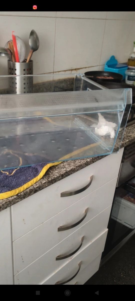 Cassetto frigo Metraquilatro